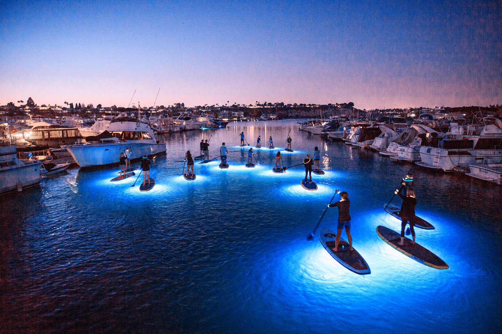 Stand Up & Shine Night SUP (paddle boarding) Glow Tour with Nocqua LED  Lights Jupiter